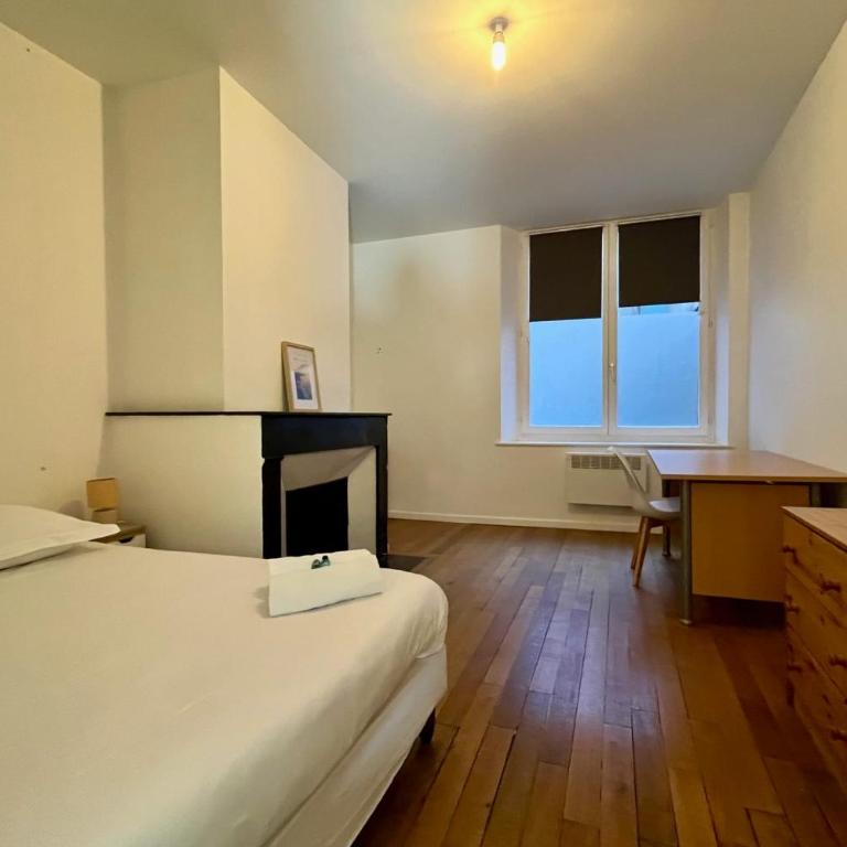 Le Raugraff logement 4p Nancy Centre ville - Appartement - 11
