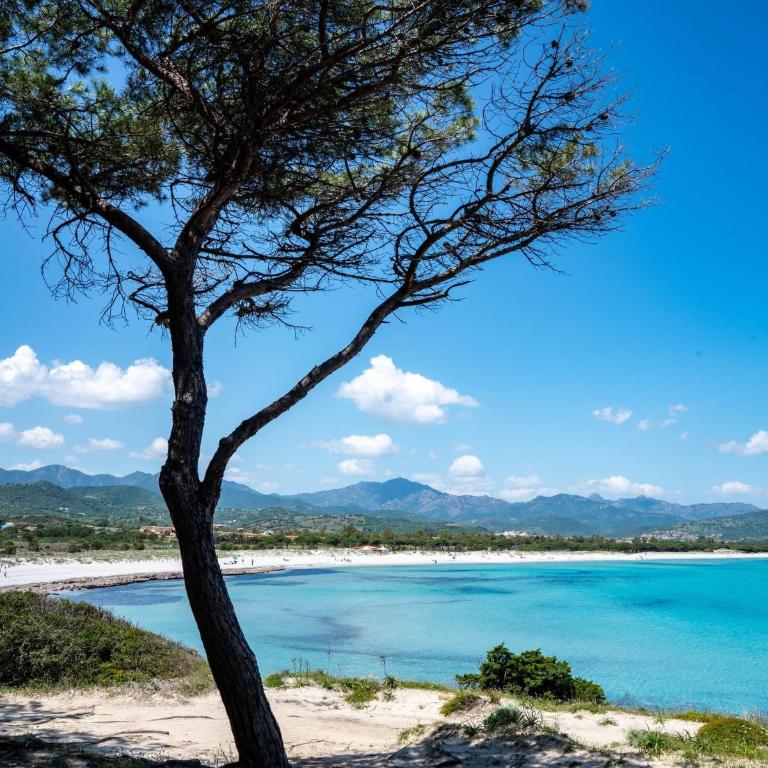 Trilo 350m dalla spiaggia vista mare budoniaffitti - Casa con 2 Camere da Letto - 36