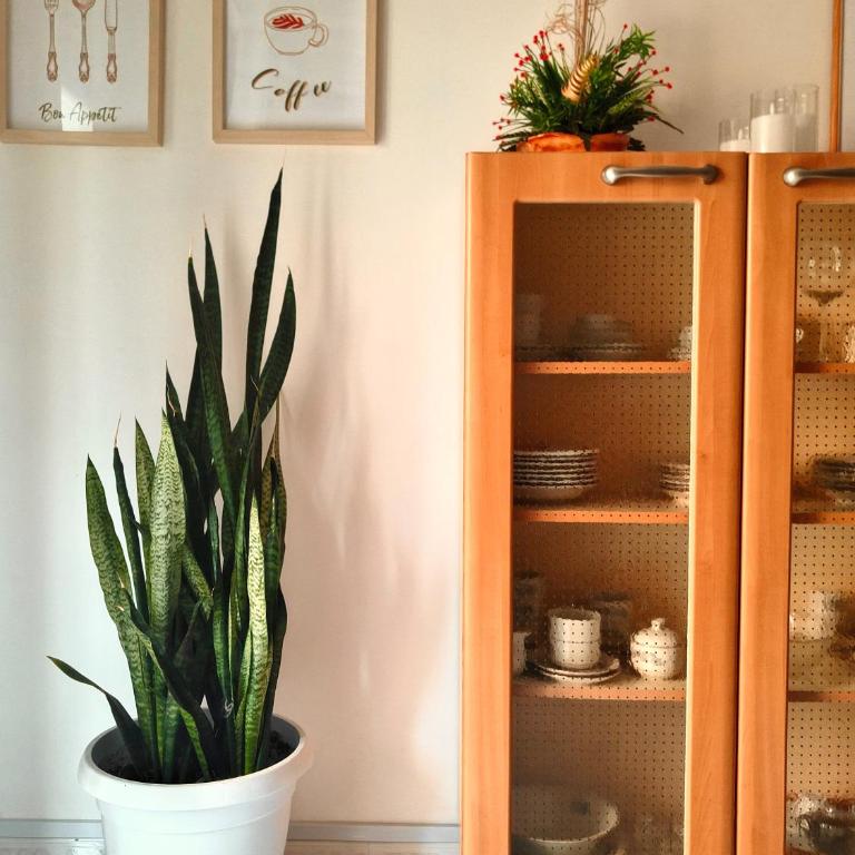 Golden Hour House - Appartamento con 2 Camere da Letto - 5