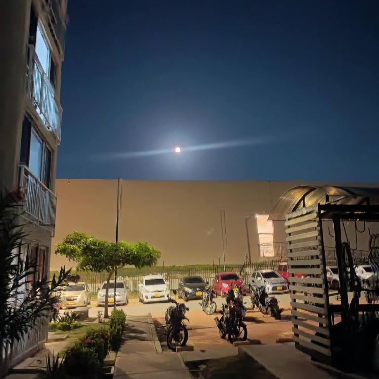 Comfortable Furnished Apartment, Perdiz - Apartamento de 1 dormitorio - 7