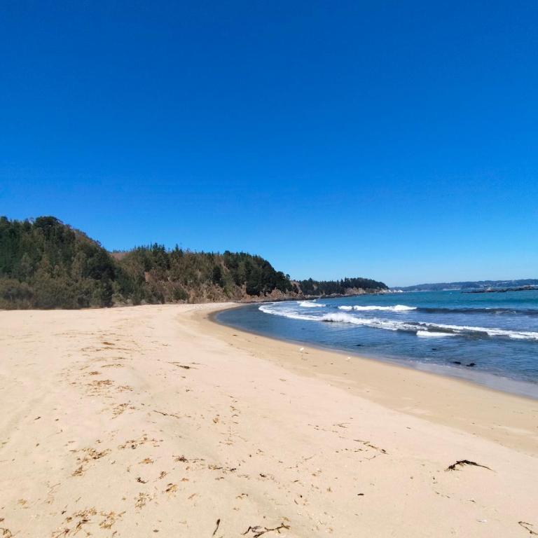 Cabaña Playa Pudá - Apartamento de 2 dormitorios - 2