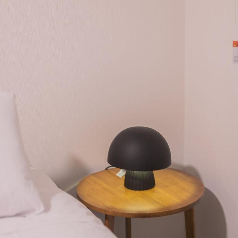 Disfruta de lo mejor de Santiago Centro en nuestro Studio - Studio - 19
