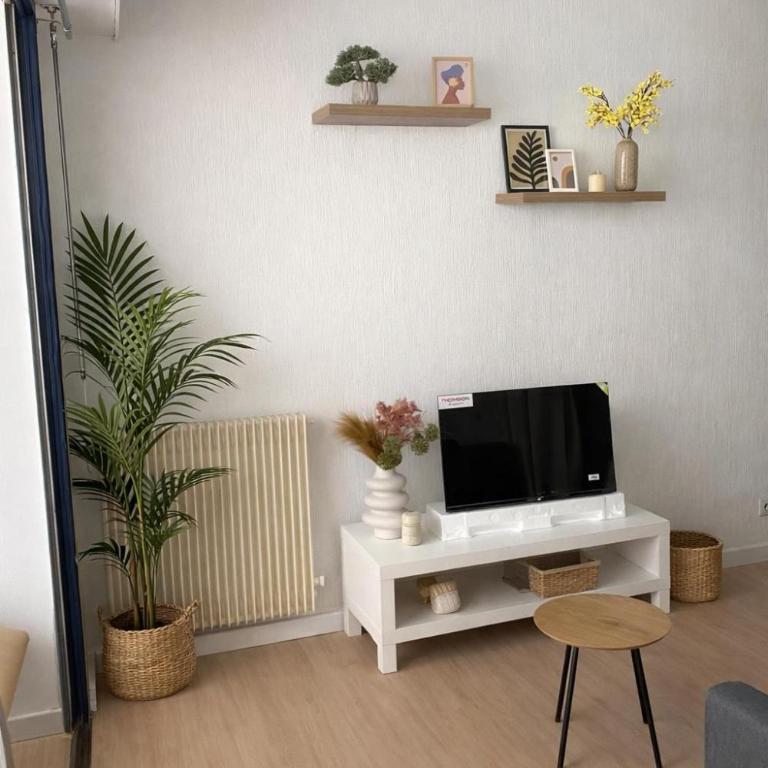 Grand studio neuf, lumineux et au calme ! Tout équipé - Ajaccio - Appartement 1 Chambre - 2