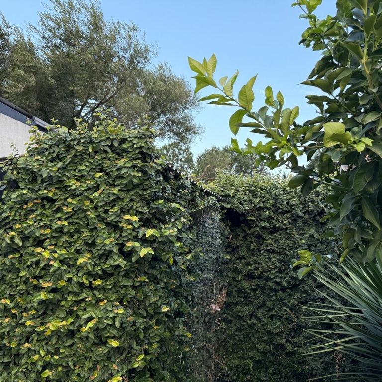 Casa de Delcia - Casa de 2 dormitorios - 63