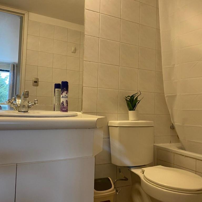 Depto céntrico con estacionamiento 3 personas - Apartamento de 1 dormitorio - 7