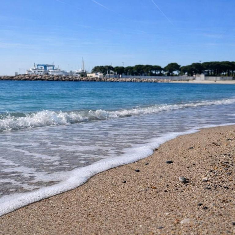 Paradis Lavandes et Mer 450m plage - Appartement 1 Chambre - 18