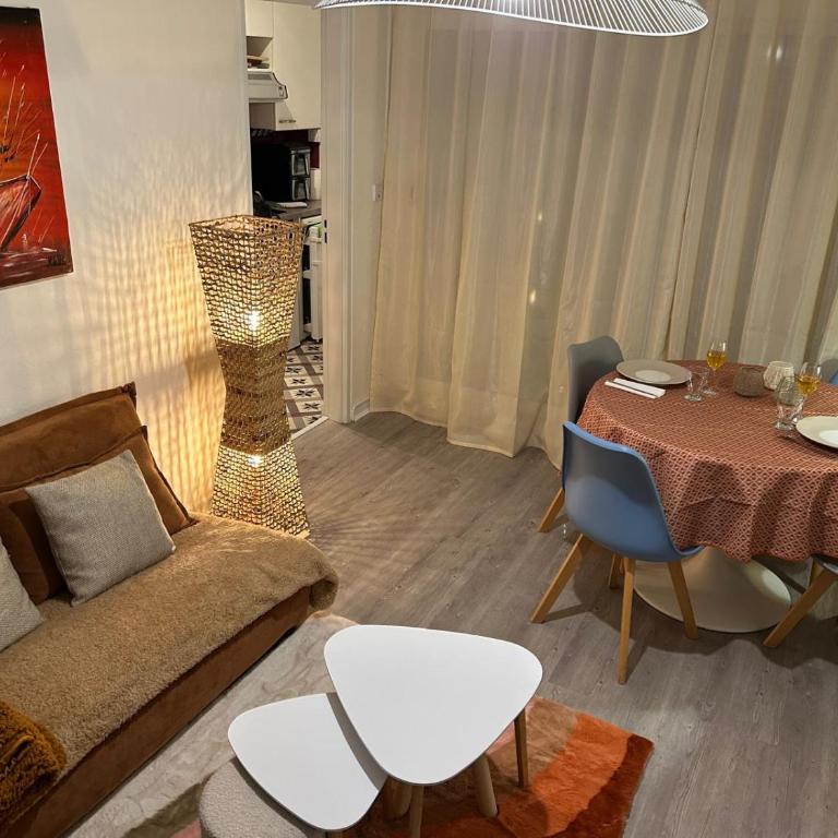 App T2 cosy refait à neuf, parking privé, linge de maison et ménage compris - Appartement 1 Chambre - 20