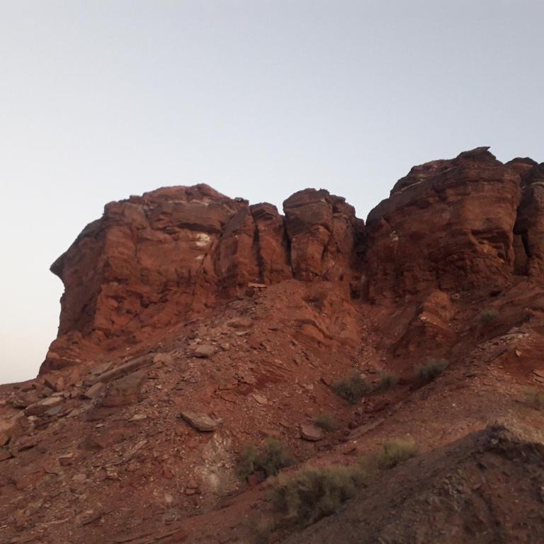 Lo del tata - Apartamento de 1 dormitorio - 10