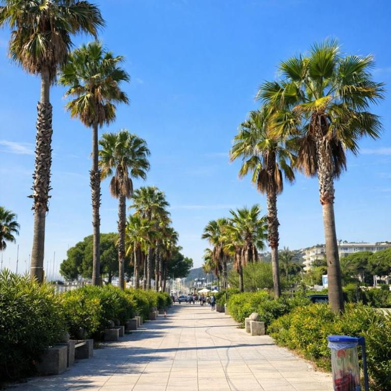 Paradis Lavandes et Mer 450m plage - Appartement 1 Chambre - 20