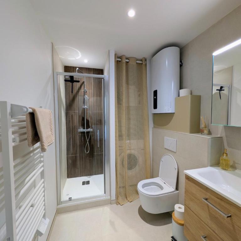 Le Baulois - appartement lumineux & terrasse - One-Bedroom Apartment - 6