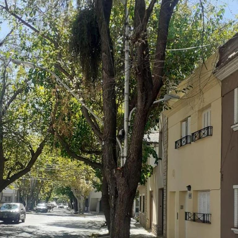 A un paso del Parque - Apartamento de 2 dormitorios - 16