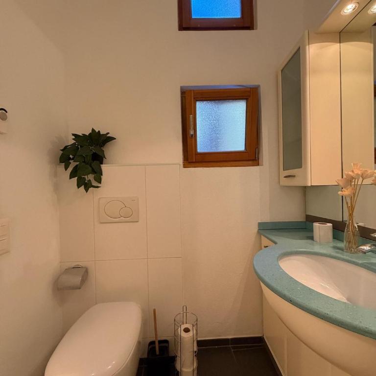 The Grottino di Ascona - Appartamento con 1 Camera da Letto - 11