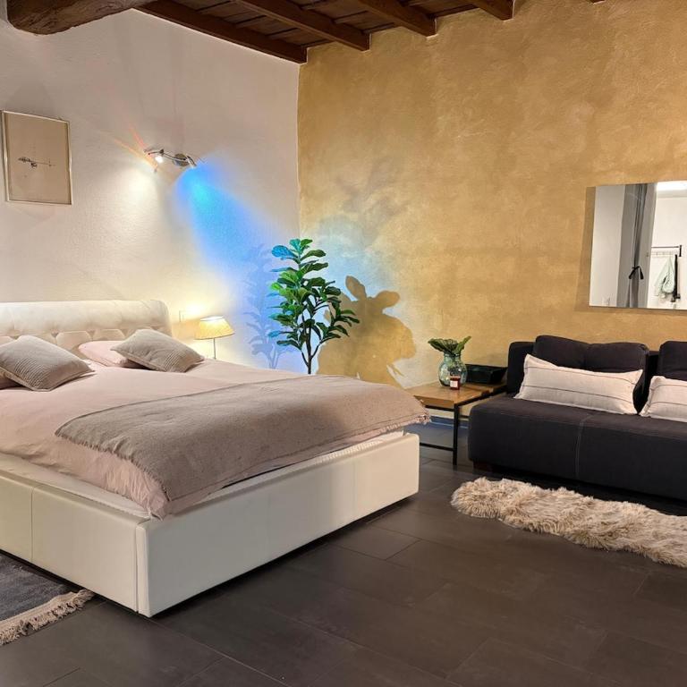 The Grottino di Ascona - Appartamento con 1 Camera da Letto - 17