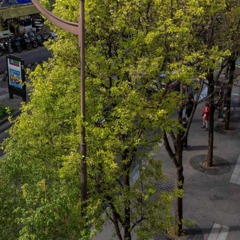 Spacious Designer Apartment near Montmartre - Appartement 1 Chambre - 27