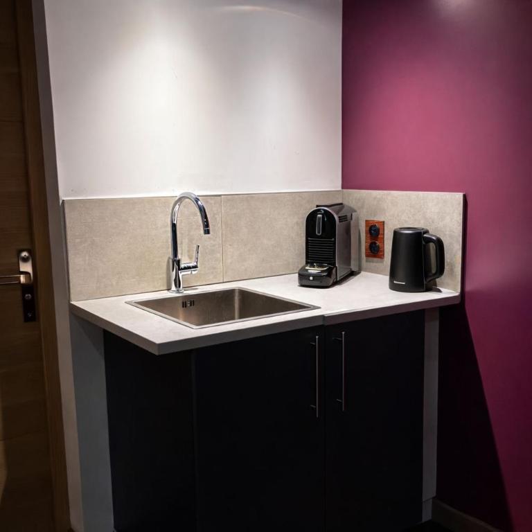 "Showroom" duplex privé avec spa-Proche Genève - Appartement 1 Chambre - 15