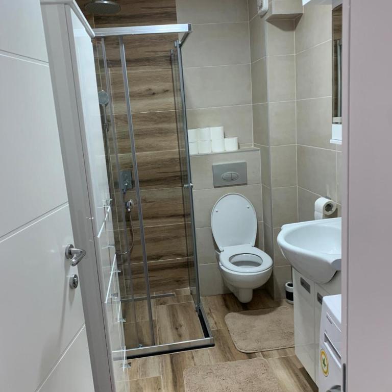 Lux Apartman Banja Koviljaca - Apartman sa 2 Spavaće Sobe - 9