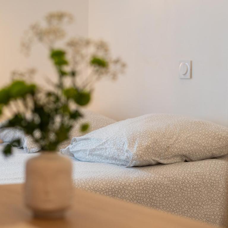 Studio Relax - 9 min sanctuaires - Rénové & équipé - 3 couchages - Apartment mit 1 Schlafzimmer - 18