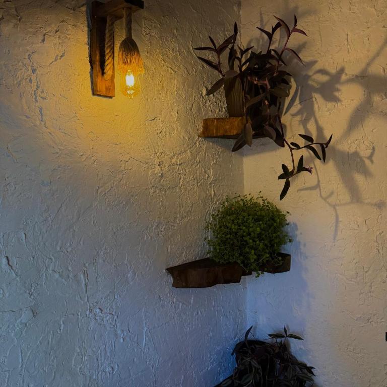 Antu Wellness cabaña de lujo en paine - Queen Suite with Spa Bath - 13