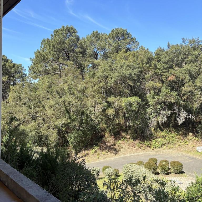 Duplex cosy entre plages et golf de Seignosse - Apartamento de 2 dormitorios - 23