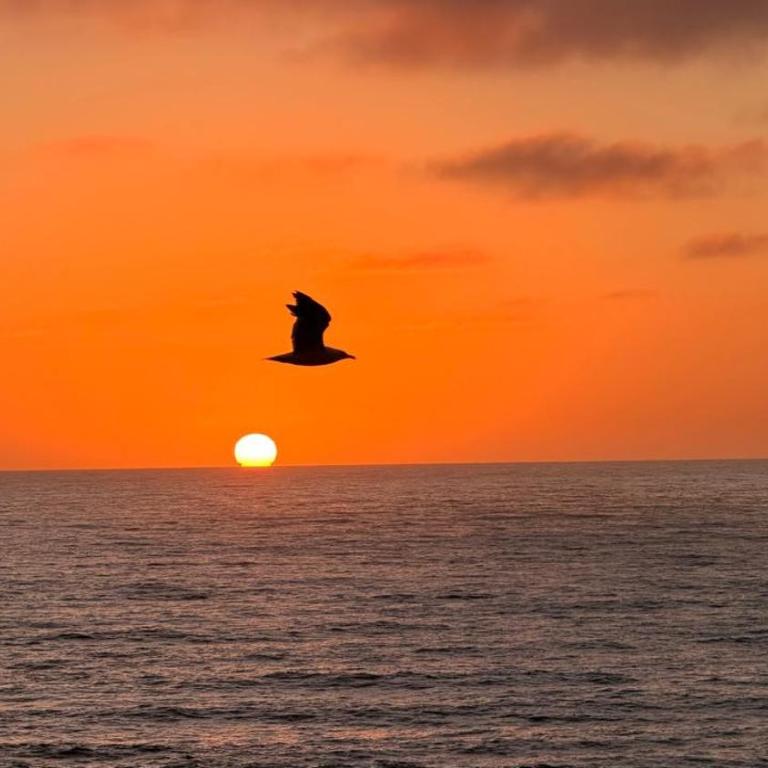 Navega hacia el atardecer infinito de arreboles - Casa de 2 dormitorios - 23
