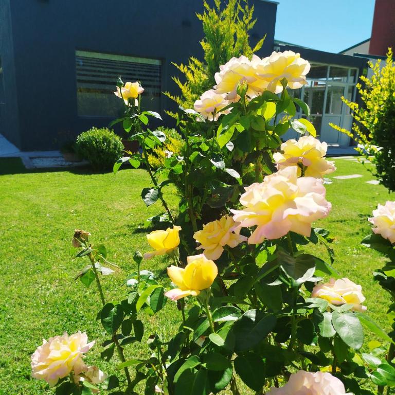 Cabañas Roble Malbec - One-Bedroom House - 85