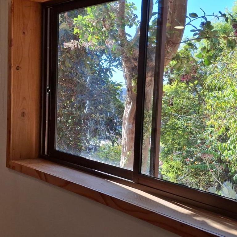 El gran Jacarandá - One-Bedroom Apartment - 15