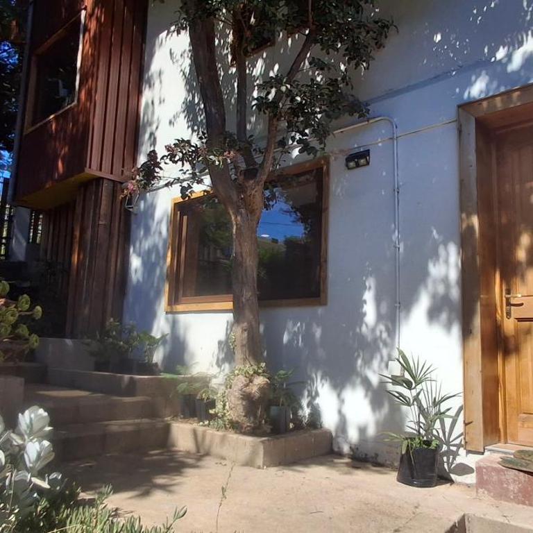 El gran Jacarandá - One-Bedroom Apartment - 16