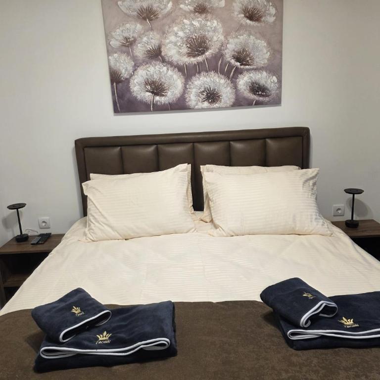 Apartman Top 5 & free parking - Apartman sa 1 Spavaćom Sobom - 5