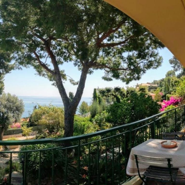 Facing the sea, Cap Martin, Monaco, Menton - Appartement 2 Chambres avec Balcon et Vue sur la Mer - 6