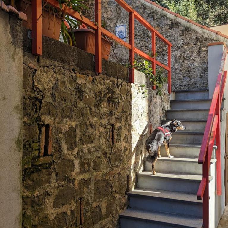 Il Pollaio di Pilade - Casa con 3 Camere da Letto - 2