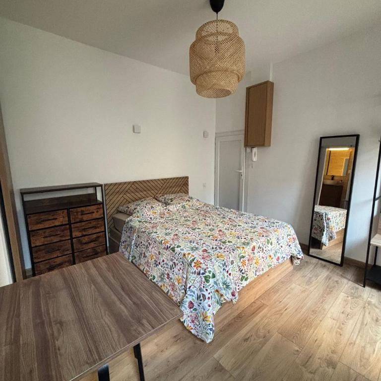 Studio Quai Claude Bernard - Apartamento de 1 dormitorio - 1
