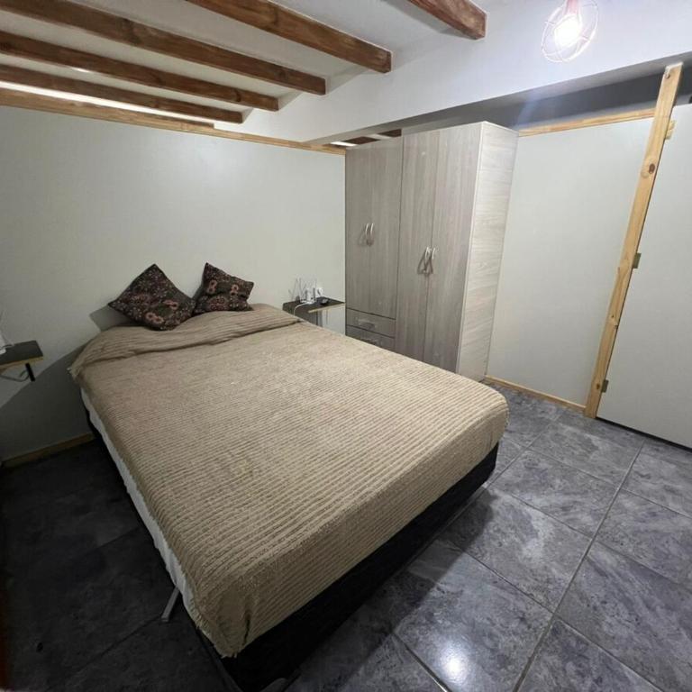 El Danés del Lago - One-Bedroom Apartment - 7