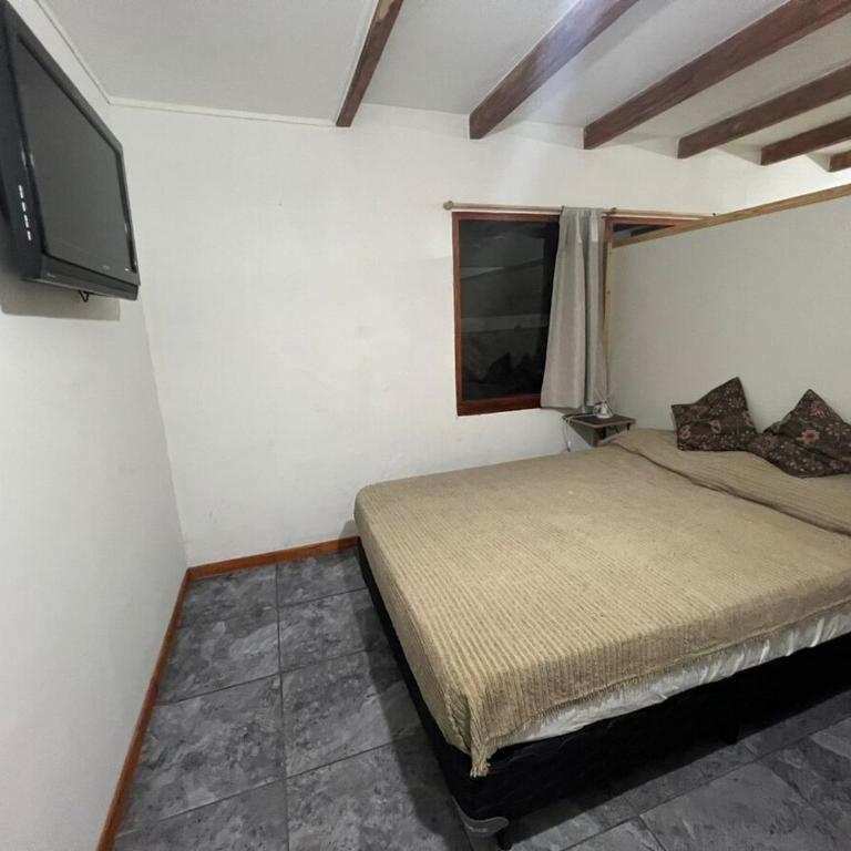 El Danés del Lago - One-Bedroom Apartment - 8