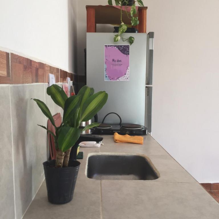 Lo del Tata - Apartamento de 1 dormitorio - 19