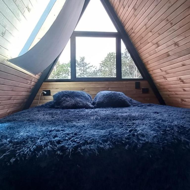 Chalets Foret Curazao - Villa de 1 dormitorio - 16