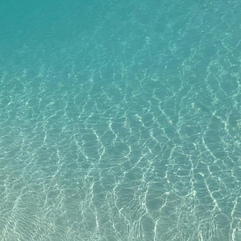QUINTA BORA BORA Alojamiento Privado - Casa - 8
