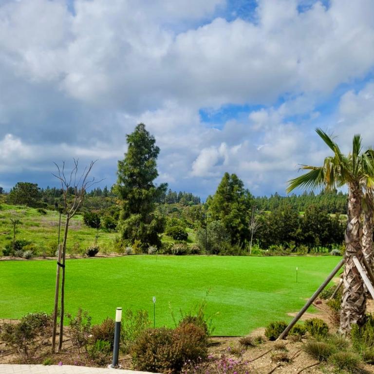 Palm Forest Oasis - Apartamento de 2 dormitorios - 17
