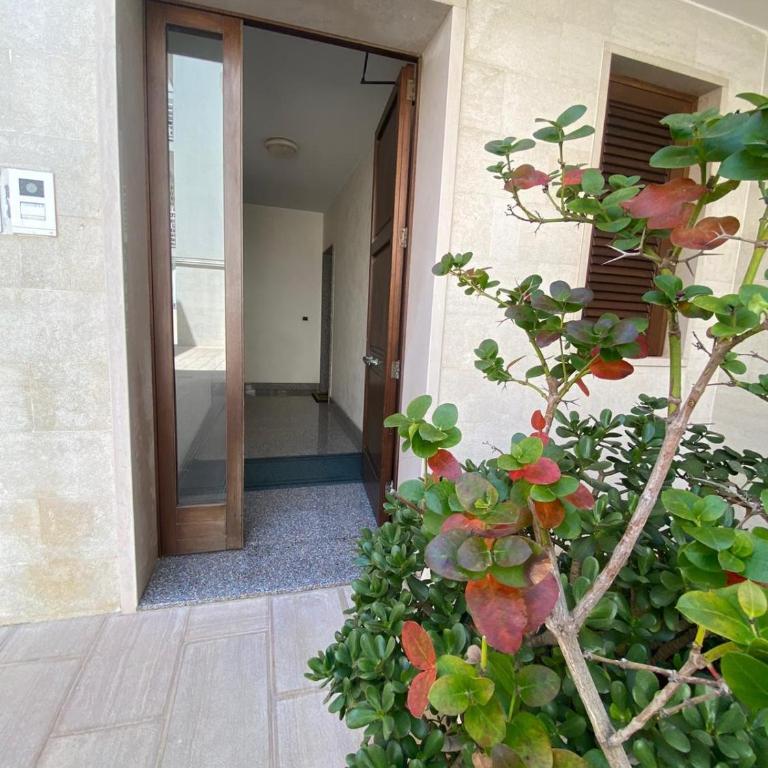Petali rosa - Dimora Mare - Casa con 1 Camera da Letto - 10