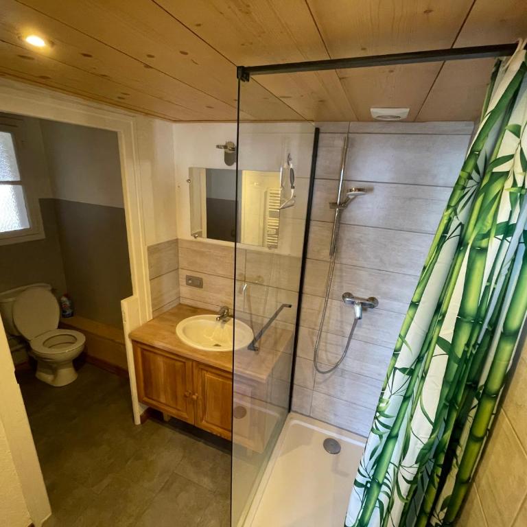Superbe appartement dans une maison de pays - Appartement 1 Chambre - 10
