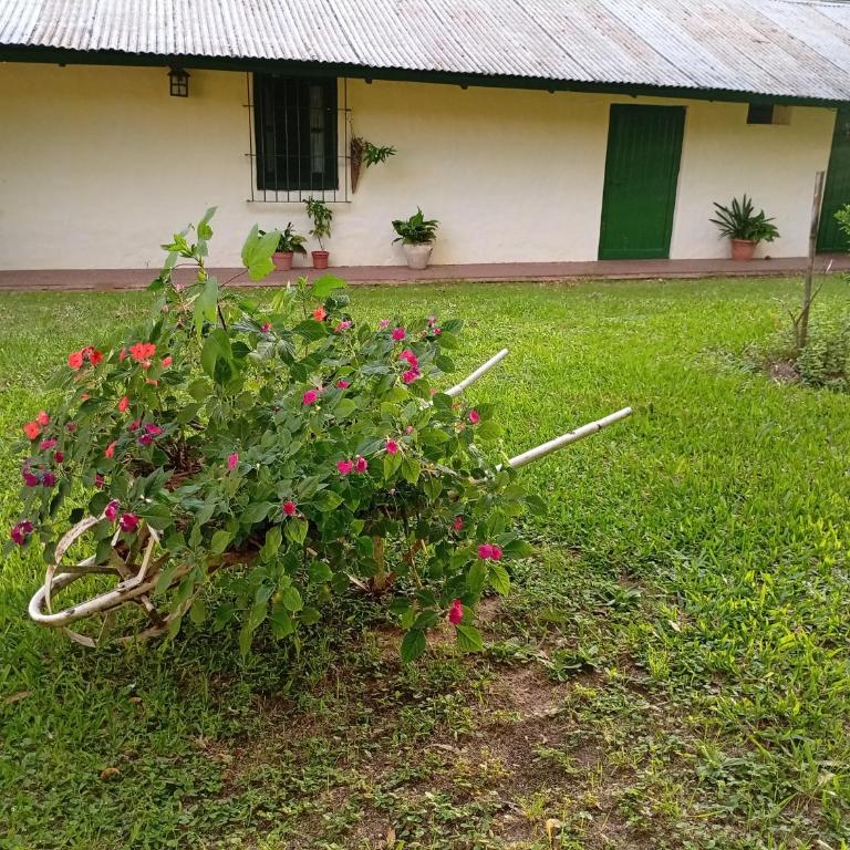 Finca Re Mar 1 - One-Bedroom House - 14