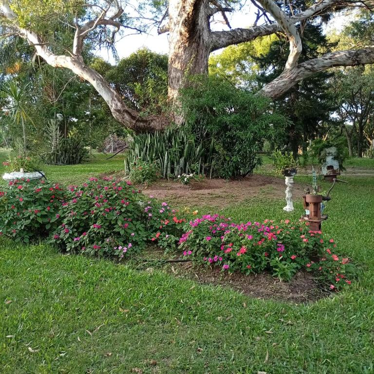 Finca Re Mar 1 - One-Bedroom House - 11
