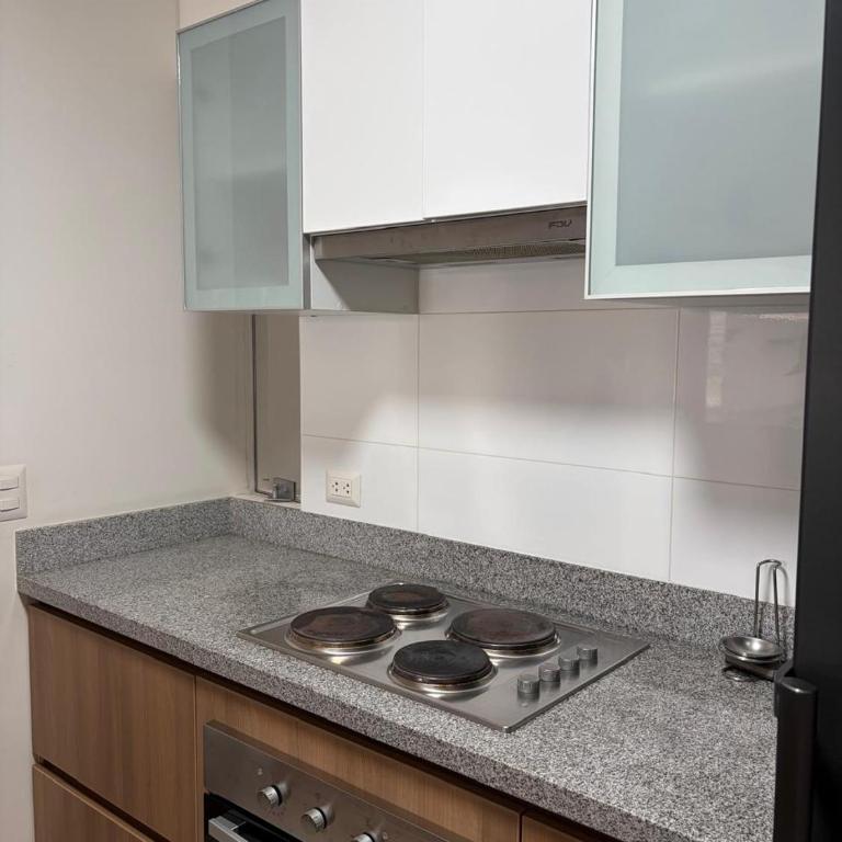 Le Saule - Two-Bedroom Apartment - 20