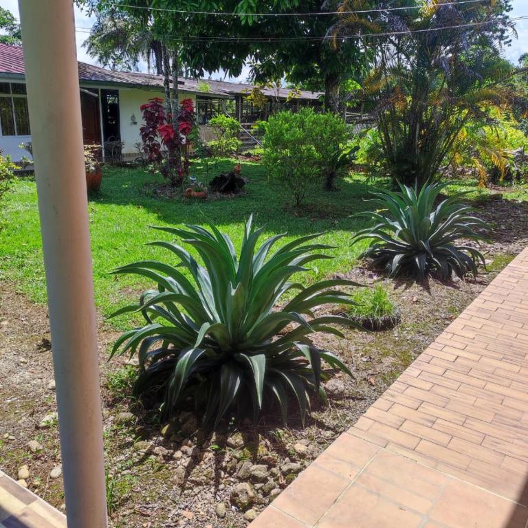 Hotel Campo Verde - Apartamento Estudio - 1 cama doble - 10