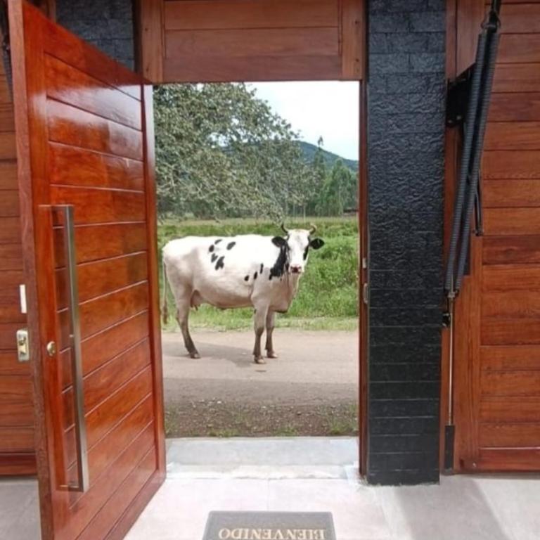 CASA R4NCH OxAPAMPA - Two-Bedroom House - 1