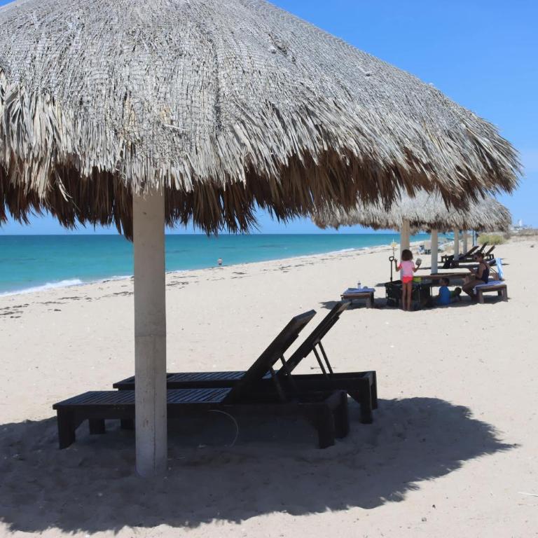 Oceanfront Condo with Stunning Views #303 - Apartamento - 31