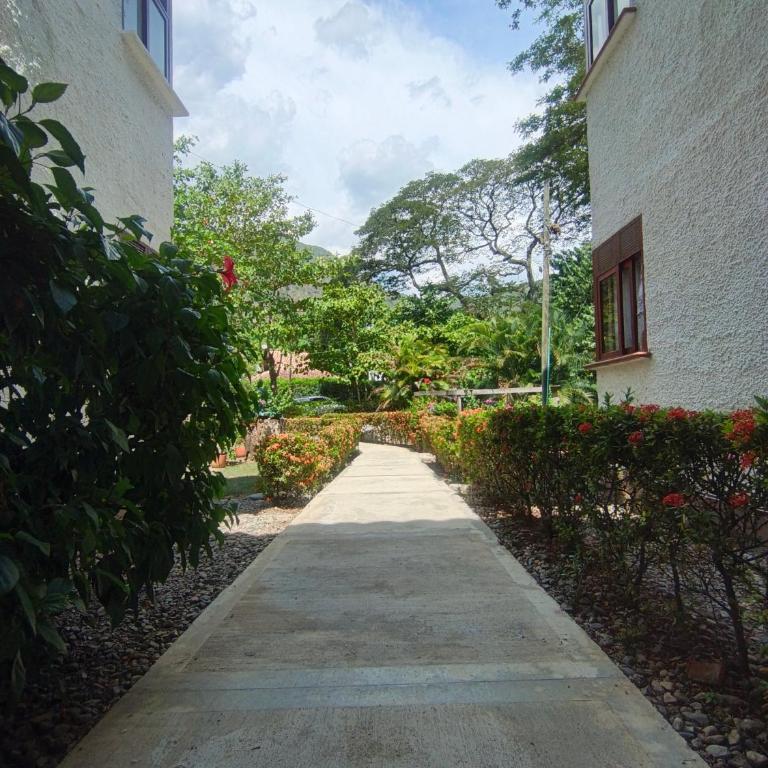 Apartamento Campestre - Hostería florida Tropical - Apartamento de 2 dormitorios con vistas a la montaña - 3