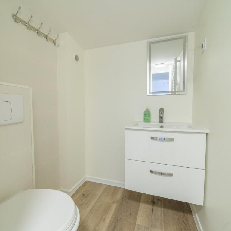 27 Pic de belledonne Duplex 5 ch - Appartement - 16