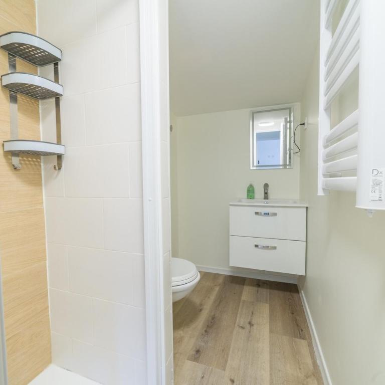 27 Pic de belledonne Duplex 5 ch - Appartement - 17