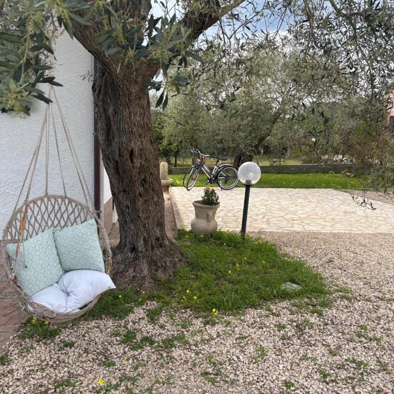 Larucchettina - Casa con 2 Camere da Letto - 4