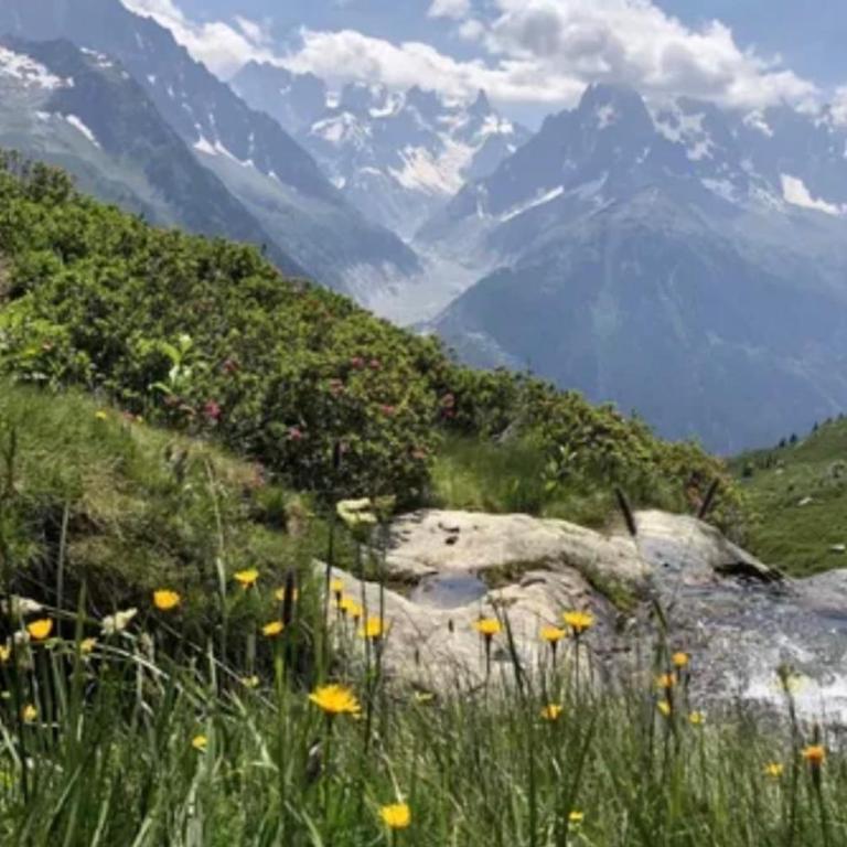 Cozy stay Mont-Blanc view Top location - Studio - 3